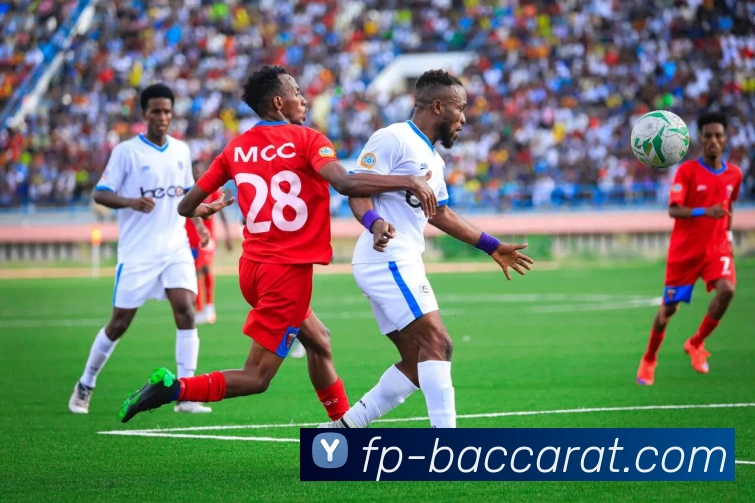 百家乐官网平台生态图